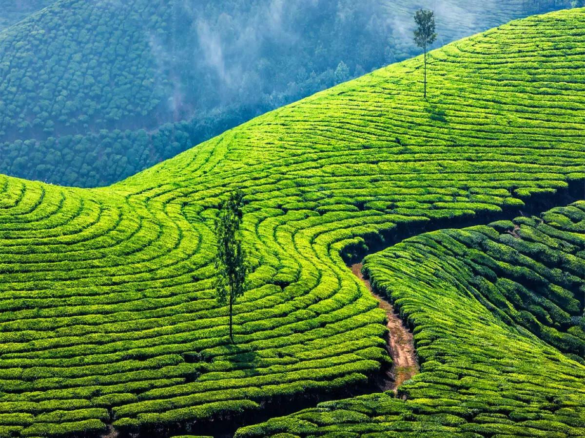 KERALA-3N4D