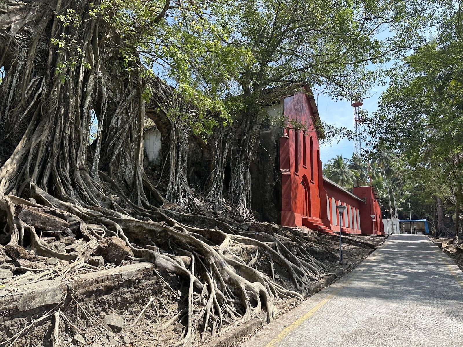 Andaman Island Escape – 6 Days / 5 Nights