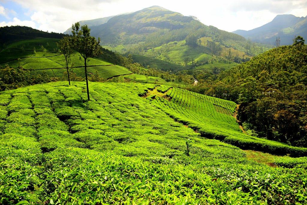 KERALA-3N4D