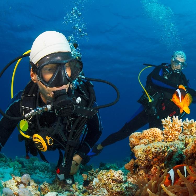 Andaman Island Escape – 6 Days / 5 Nights